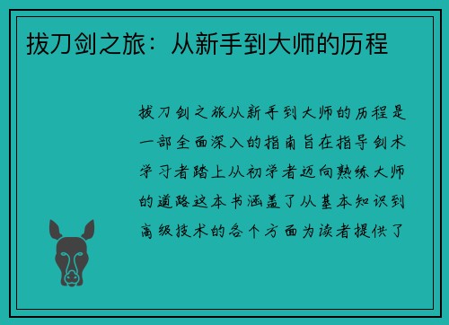 拔刀剑之旅：从新手到大师的历程